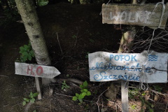 na bazie Rabe Baza Rabe