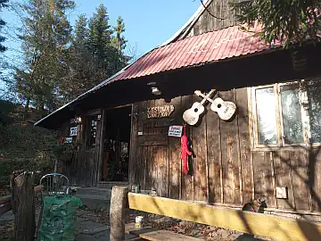 Lasek jesienią Lasek jesienią