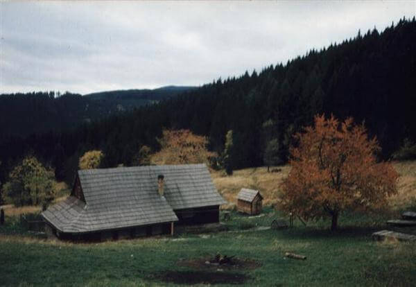 Szczytkówka Szczytkówka